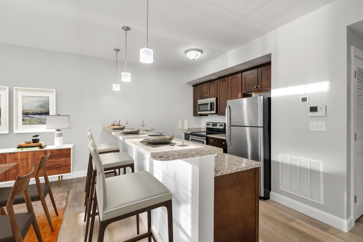 Photos and Video of Ashland Woods in Ashland, MA